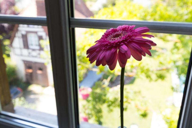 Le Clos D'Azel Maison D'Hotes Flexbourg Eksteriør billede